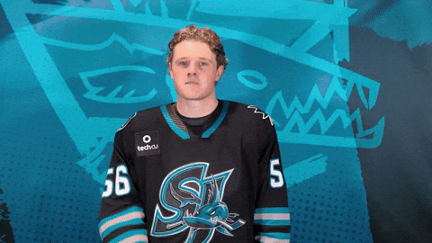 Brush Em Off San Jose GIF by San Jose Barracuda