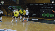 Celebrate Czech Republic GIF by HCB Karviná