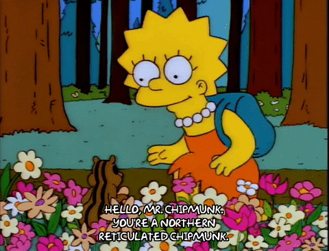 lisa simpson GIF
