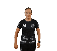 Floorball Sticker by Český florbal