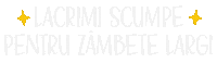 Zambete Sticker