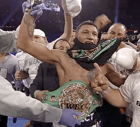 toprank giphyupload fight fighting champion GIF