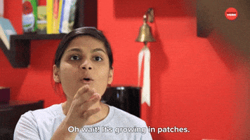 It's Growing In Patches 