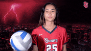 stjohnsredstorm st johns stjohns red storm redstorm GIF