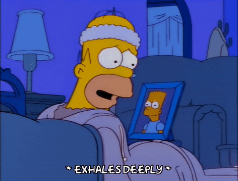homer simpson episode 23 GIF