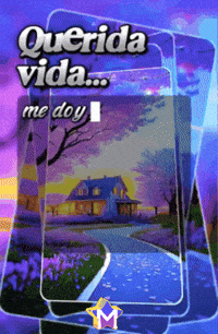 Que Quieres Yo No Se GIF by Murcianys LLC