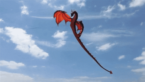 dragon kite GIF