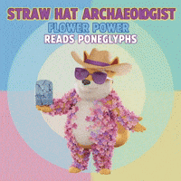 One Piece Sunglasses GIF by Doge Pound