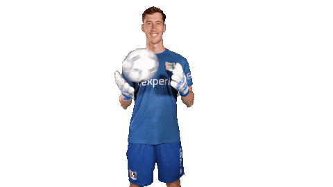 Robin Nec Sticker by necnijmegen