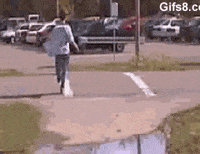 bus win GIF
