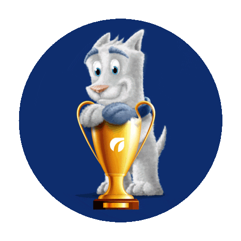 Pet Futebol Sticker by Ourofino Saúde Animal