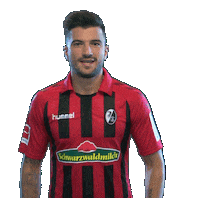 sc freiburg celebration Sticker by SCF