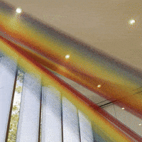 Visual Art GIF by the vizual