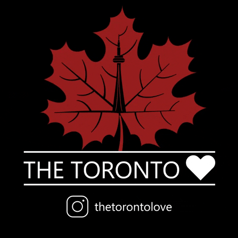 GIF by The Toronto Love