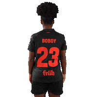 Bayer 04 Bundesliga Sticker by Bayer 04 Leverkusen