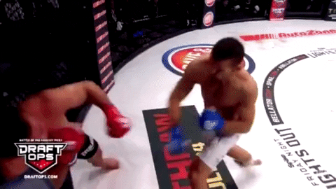 knock out mma GIF