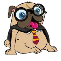 mypugandco pug harrypotter mypugandco harrypugger Sticker