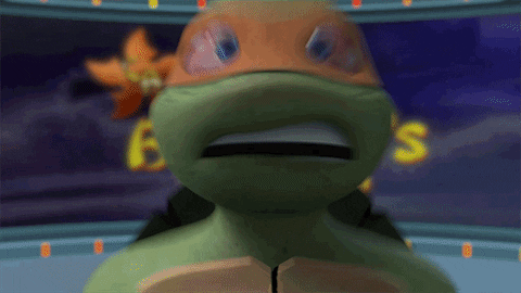nickelodeon GIF by Teenage Mutant Ninja Turtles