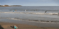 maine GIF