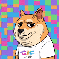 Shiba Inu Dog GIF by Doge Pound