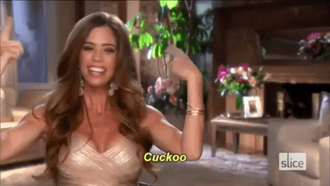 slice giphygifmaker bravo tv rhoc real housewives of orange county GIF