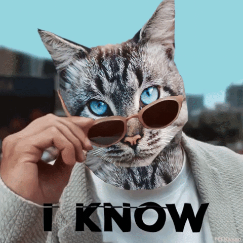 Sorry Good Morning GIF by PEEKASSO