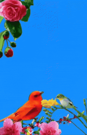 Cafe Flores GIF by Murcianys LLC