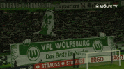 Bundesliga Fans GIF by VfL Wolfsburg