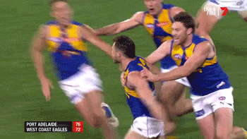 afl afl finals aussie rules australian football league GIF