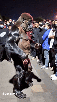 Angry Fight GIF by systaime