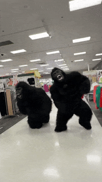 Gorilla GIF by Chubsuit