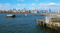 Domino Park 
