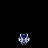 sfes gowolves stfrancis sfes GIF