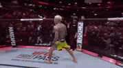 Charles Oliveira Sport GIF by UFC