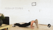 6-Directions  GIF