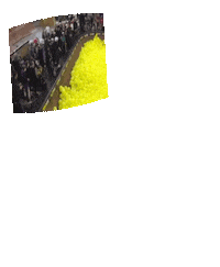 balloon bicycle STICKER