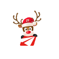 Christmas Envios Sticker by DEBLEX