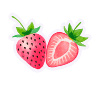 Baiafoodco baia baiafood baiatecuida baiaverano Sticker