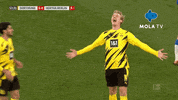 Happy Football GIF by MolaTV