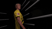 Germany Football GIF by Bundesliga