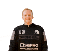 Floorball Blackangels Sticker by Český florbal