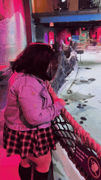 Fish Tank GIF