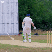 a league of their own wtf GIF by Sky
