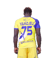 SarrebourgHandball handball proligue sarrebourg smshb Sticker