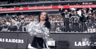 Las Vegas Raiders Football GIF by NFL