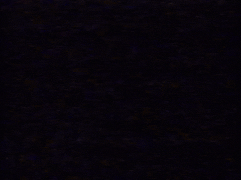 Youtube 90S GIF by Squirrel Monkey