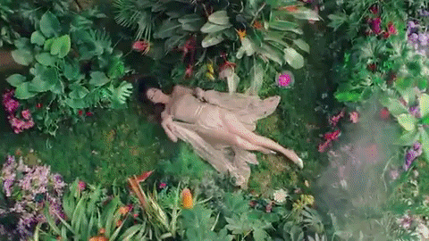 young_hollywood giphygifmaker GIF