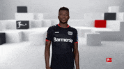 Bayer 04 Hello GIF by Bundesliga
