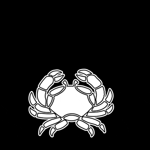 dgkeybiscayne giphyupload GIF