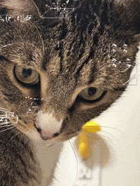 Confused Math GIF